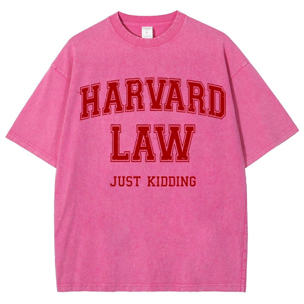 Harvard Law (Just Kidding)  Vintage Distressed T-shirt