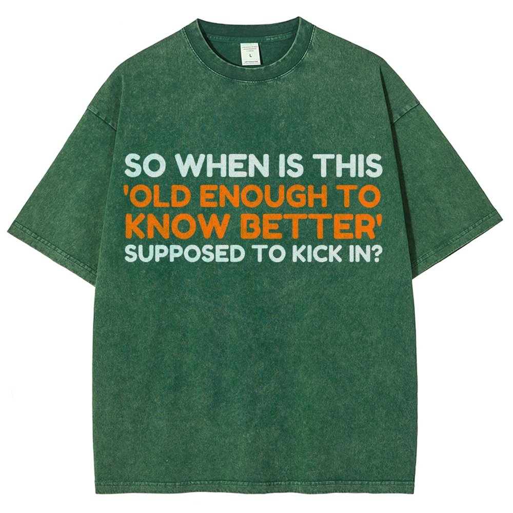 Old Enough To Know Better Vintage Distressed T-shirt