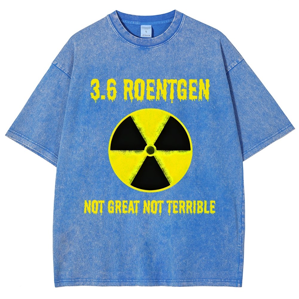 3.6 Roentgen Not Great Not Terrible Vintage Distressed T-shirt