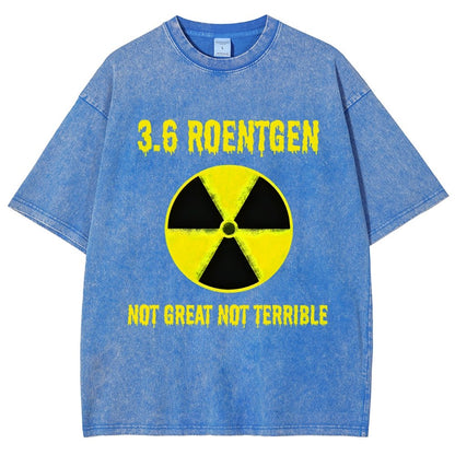 3.6 Roentgen Not Great Not Terrible Vintage Distressed T-shirt