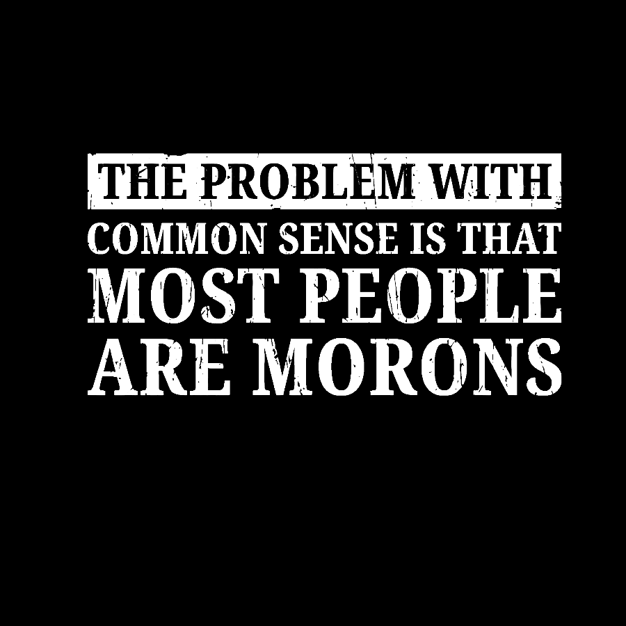 The Problem With Common Sense Patch Geek T-Shirt