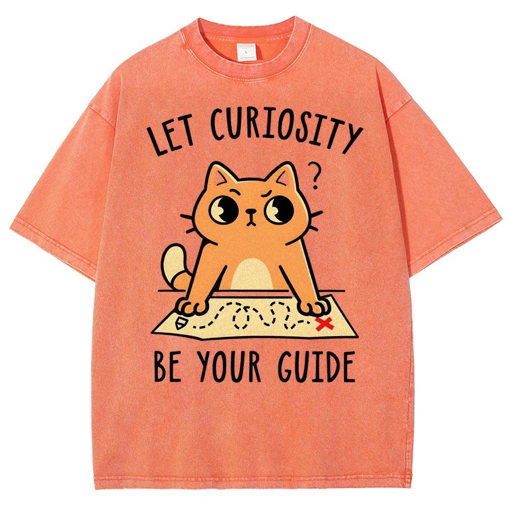 Let Curiosity Be Your Guide Vintage Distressed T-shirt