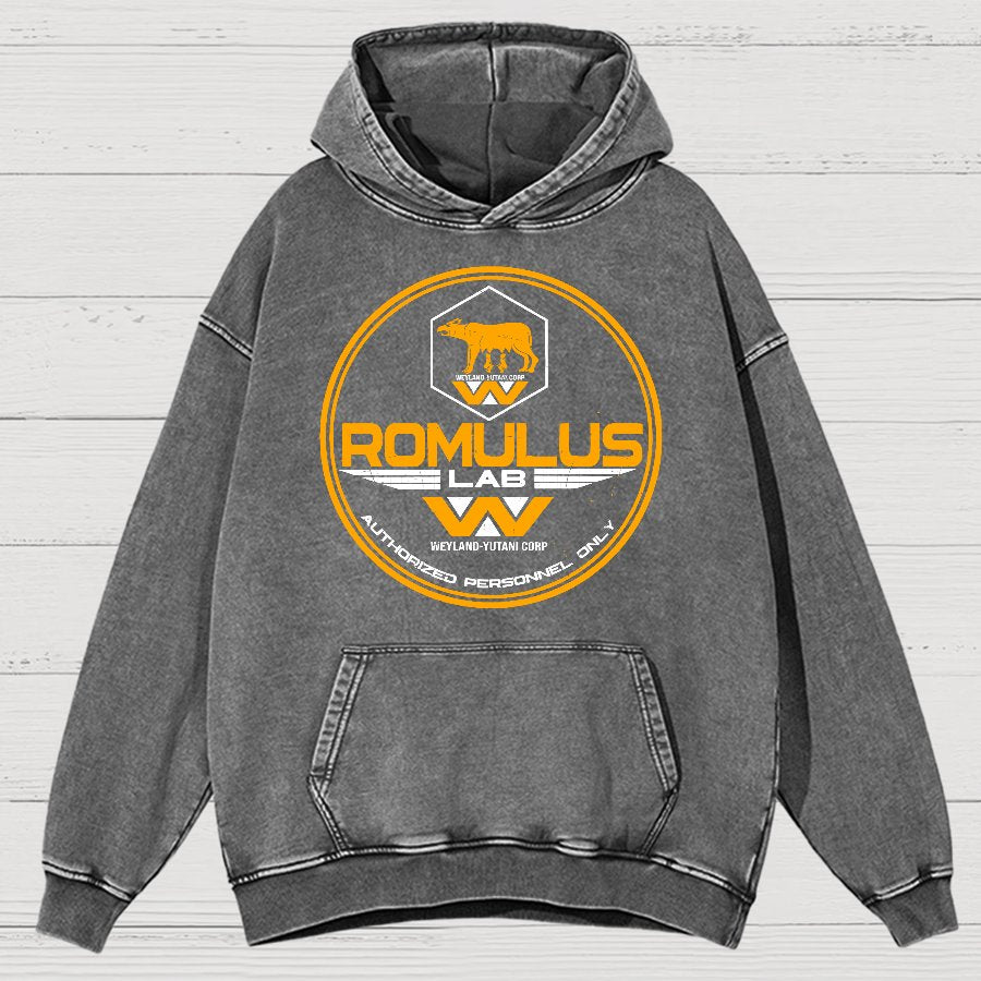 Aurora Lab Vintage Distressed Hoodie