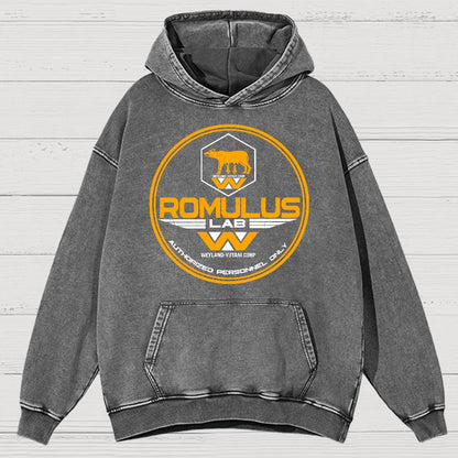 Aurora Lab Vintage Distressed Hoodie