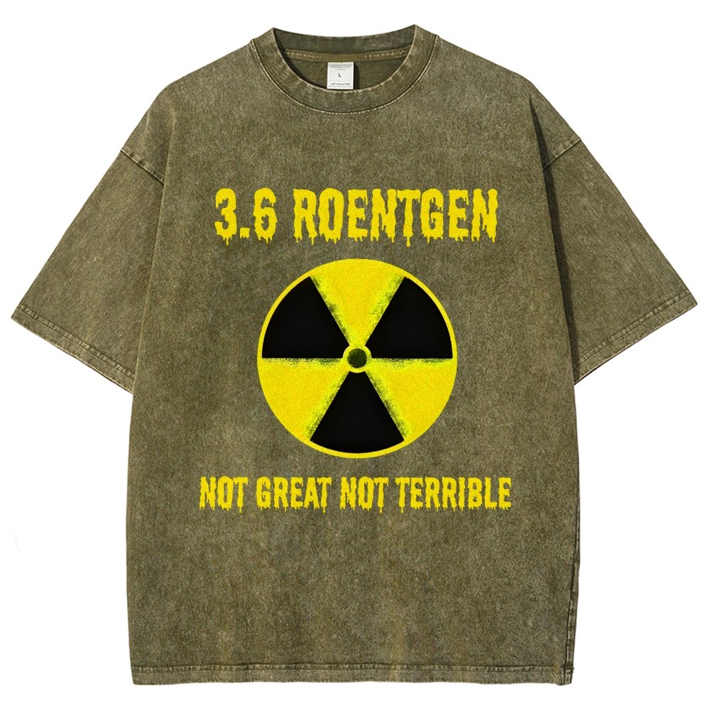 3.6 Roentgen Not Great Not Terrible Vintage Distressed T-shirt