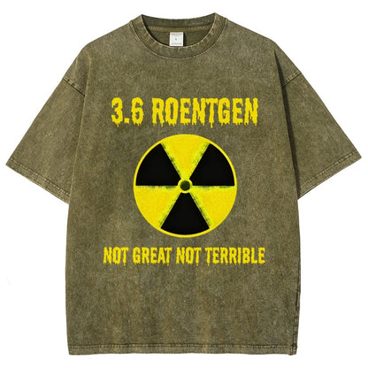 3.6 Roentgen Not Great Not Terrible Vintage Distressed T-shirt