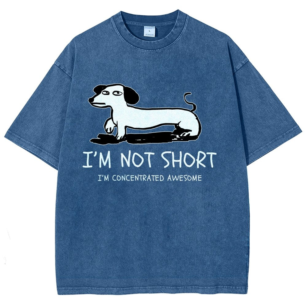 I'm Not Short Vintage Distressed T-shirt