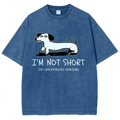 I'm Not Short Vintage Distressed T-shirt