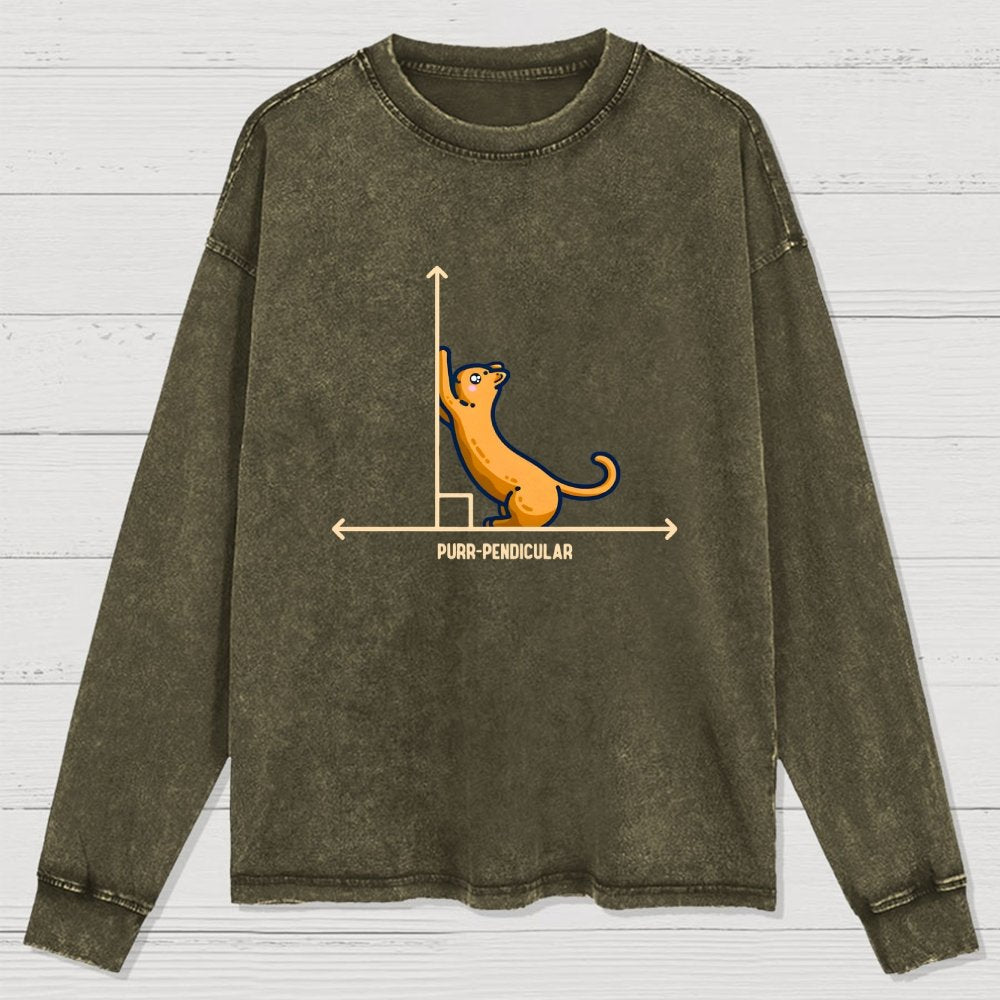 Purr-Pendicular Cute Maths Cat Premium Washed Long Sleeve Tee