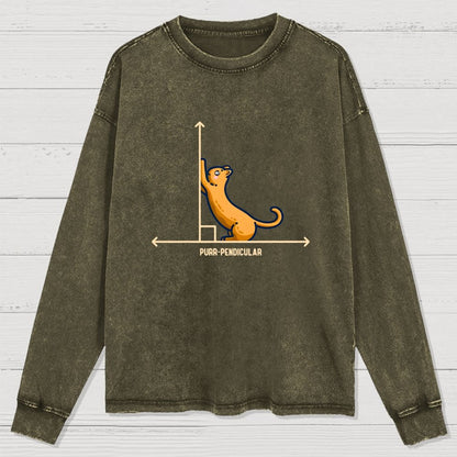 Purr-Pendicular Cute Maths Cat Premium Washed Long Sleeve Tee