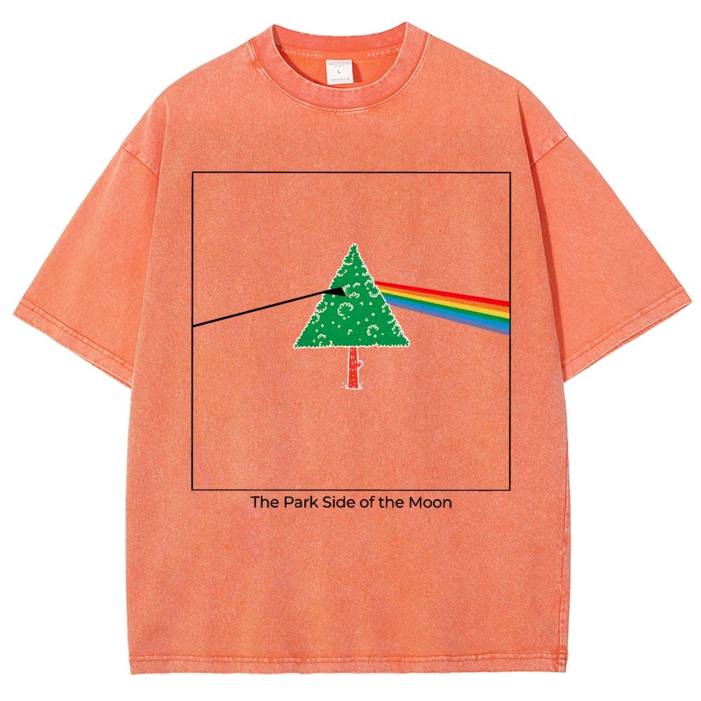 The Park Side of the Moon Vintage Distressed T-shirt