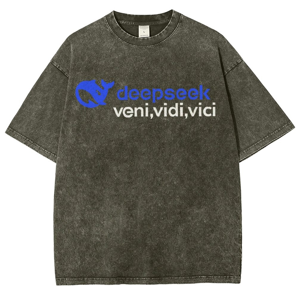 Deepseek R1 Graphic Vintage Distressed T-shirt