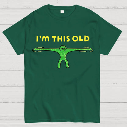 Old As Stretch Geek T-Shirt