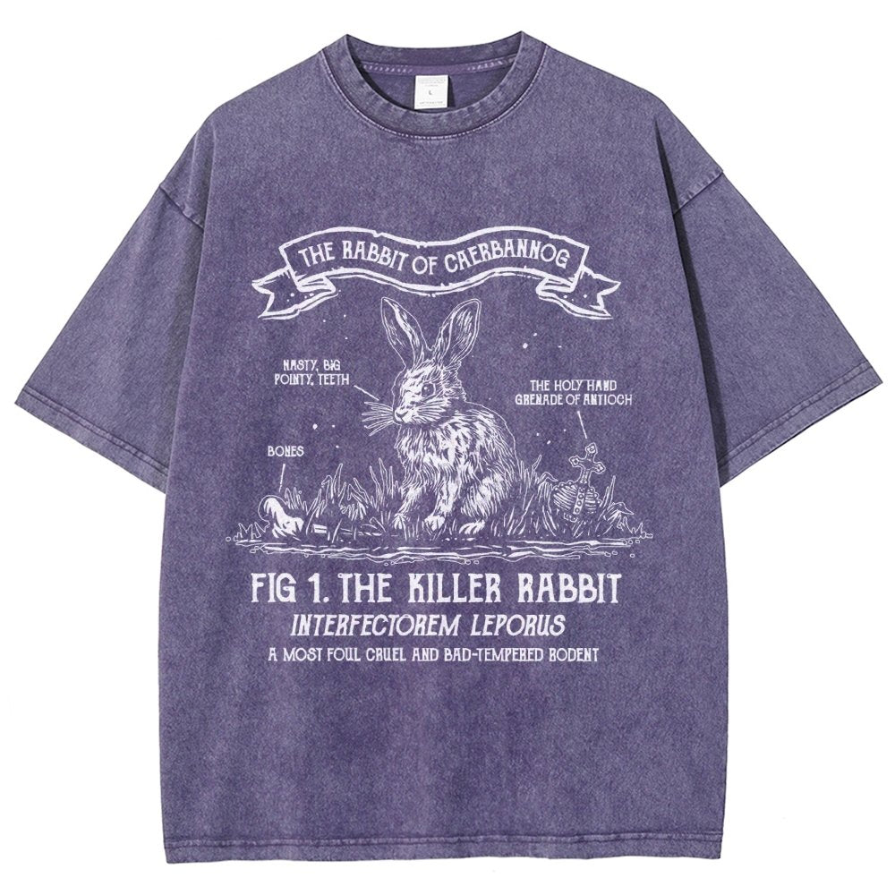 The Rabbit of Mysterious Place Vintage Distressed T-shirt