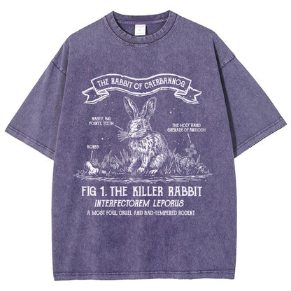 The Rabbit of Mysterious Place Vintage Distressed T-shirt