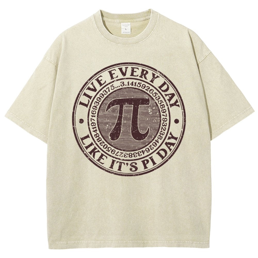 Vintage Pi Day Vintage Distressed T-shirt