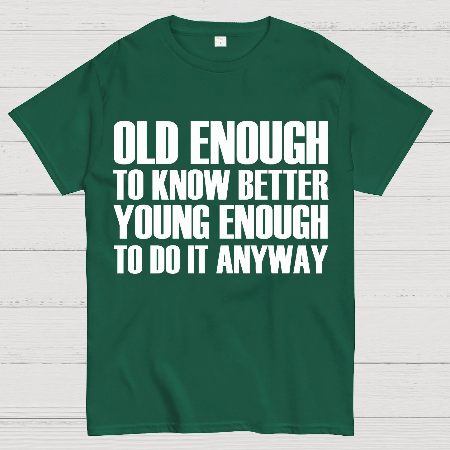 Old Enough To Know Better Young Enough To Do It Anyway Geek T-Shirt
