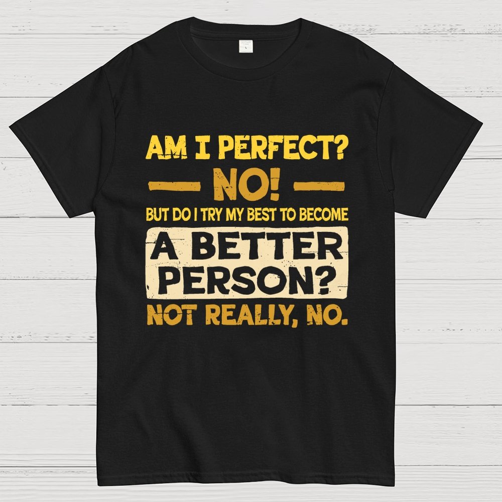Am I Perfect Geek T-Shirt