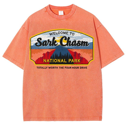 Welcome To Sarcasm Remix Vintage Distressed T-shirt