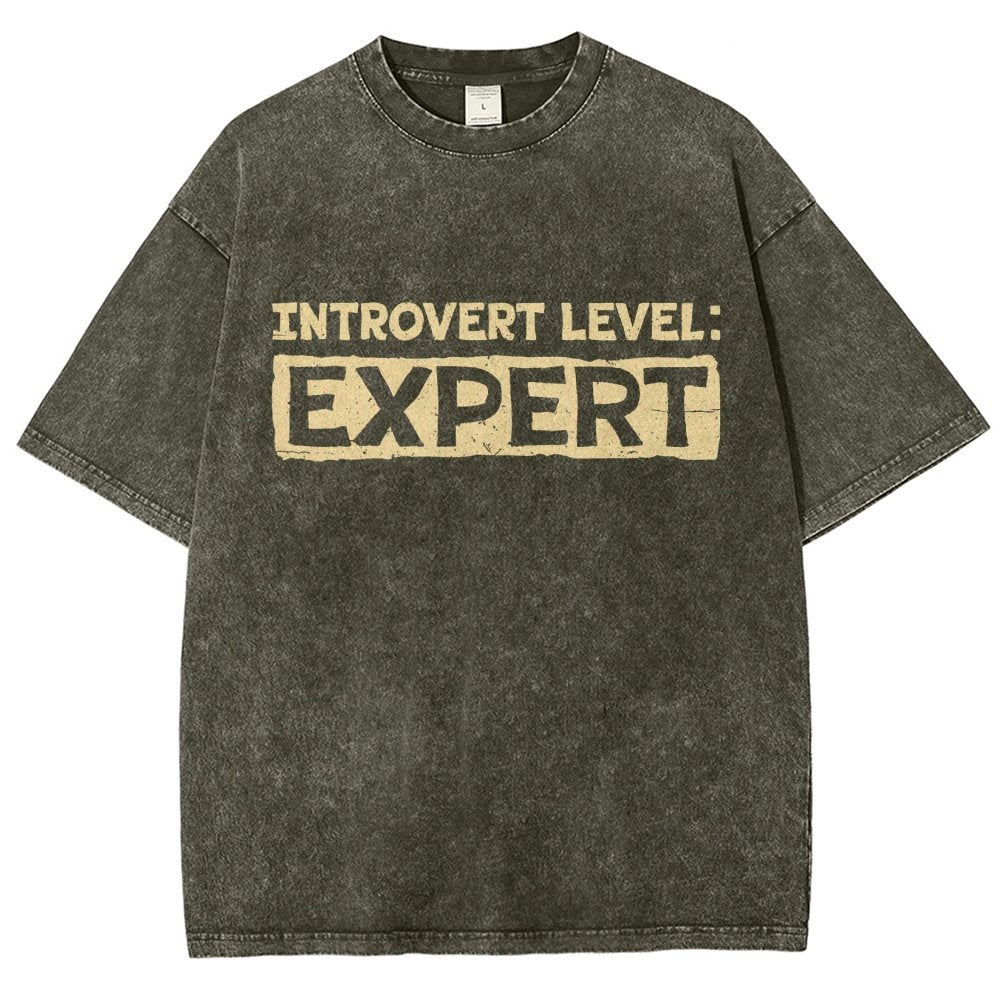 Introvert Level:Expert Vintage Distressed T-shirt