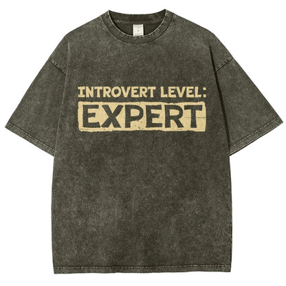 Introvert Level:Expert Vintage Distressed T-shirt