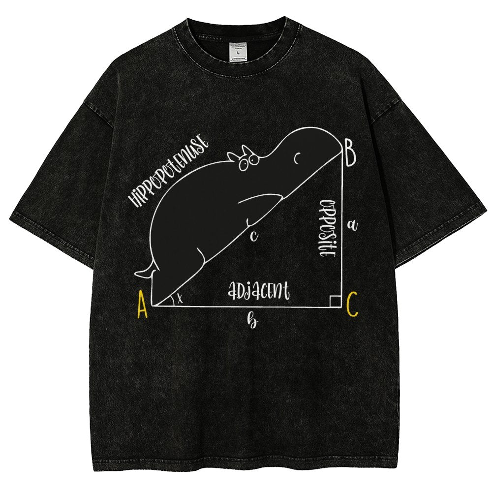 Interesting Math Teacher Math Lover Math Geek Vintage Distressed T-shirt