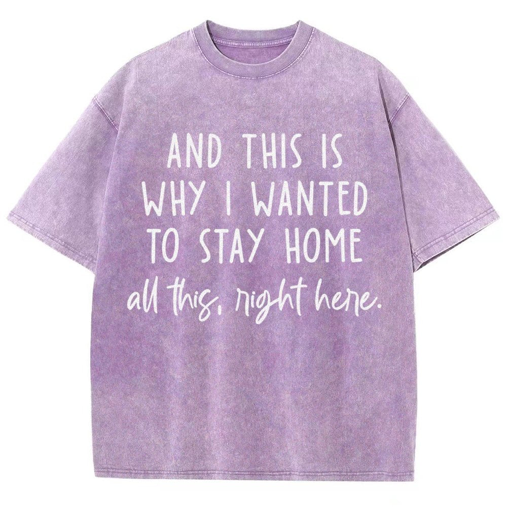 Sarcastic Introvert And This Is Why I Wanted To Stay Home Vintage Distressed T-shirt