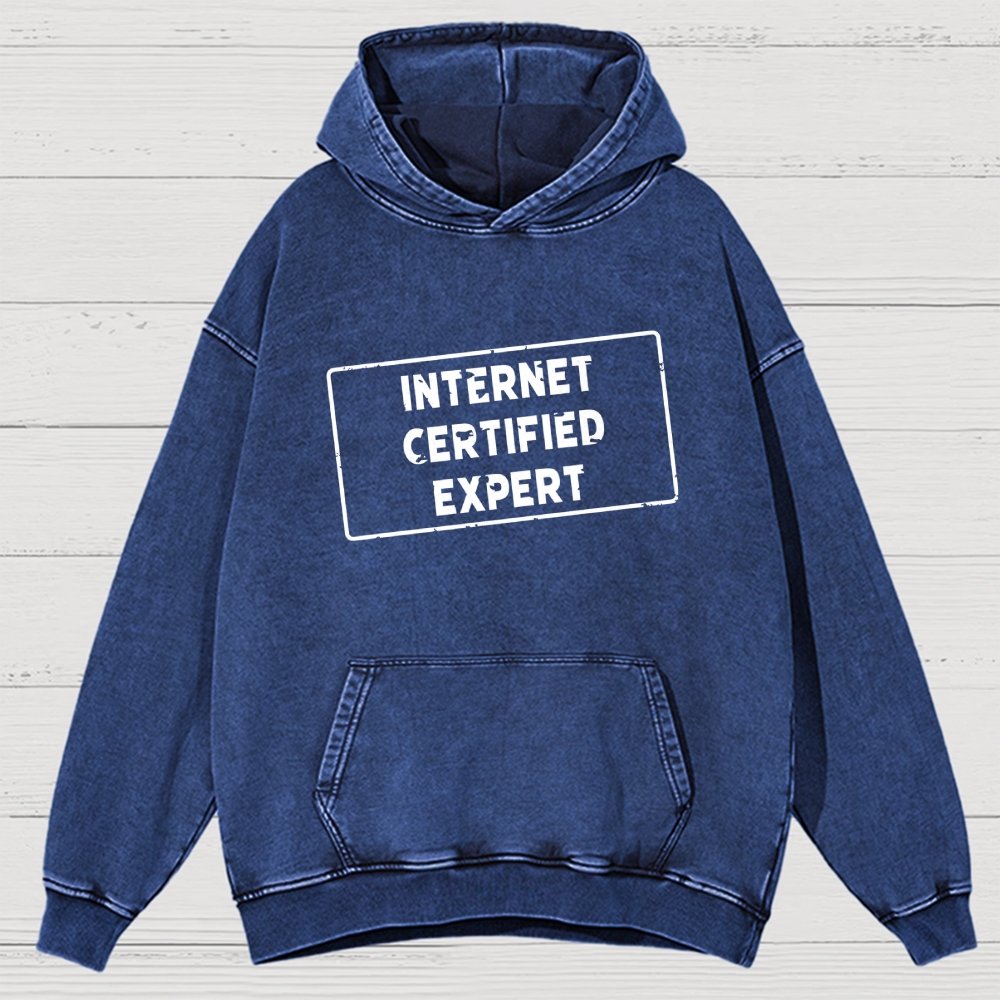 Internet Certified Expert Vintage Distressed Hoodie