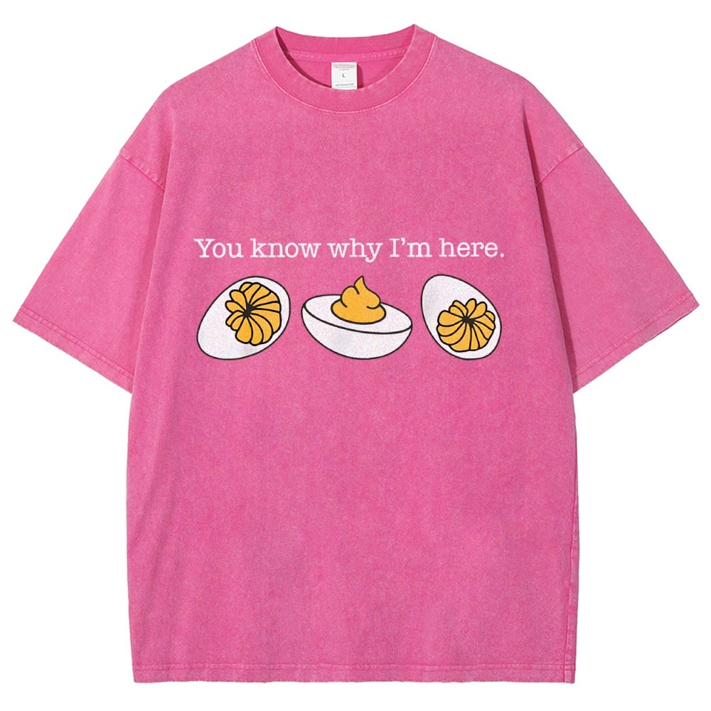 Retro You Know Why I'm Here Deviled Egg Vintage Distressed T-shirt