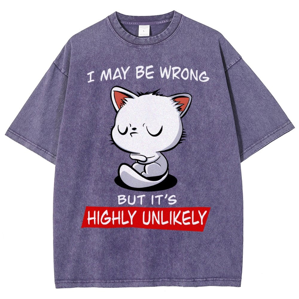 I May Be Wrong Vintage Distressed T-shirt