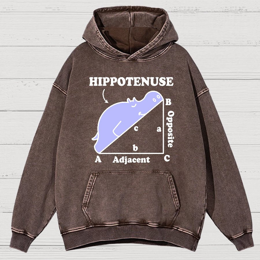 Hypotenuse Math Pun, Hippotenuse Essential Vintage Distressed Hoodie