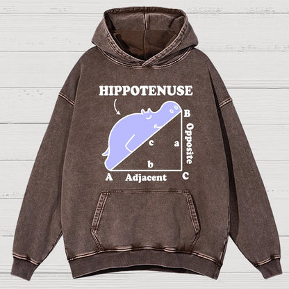 Hypotenuse Math Pun, Hippotenuse Essential Vintage Distressed Hoodie
