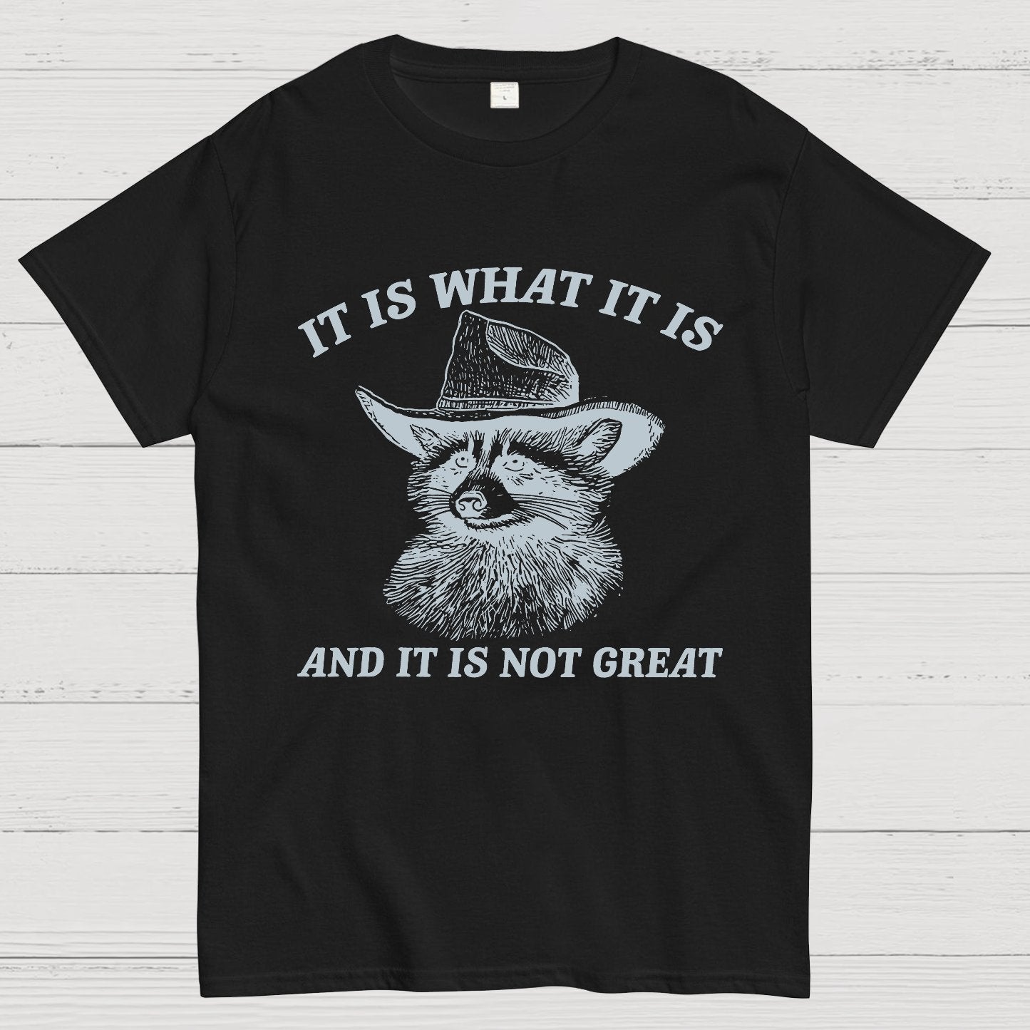 t Is What It Is And It Is Not Great Vintage Raccoon Geeky T-Shirt