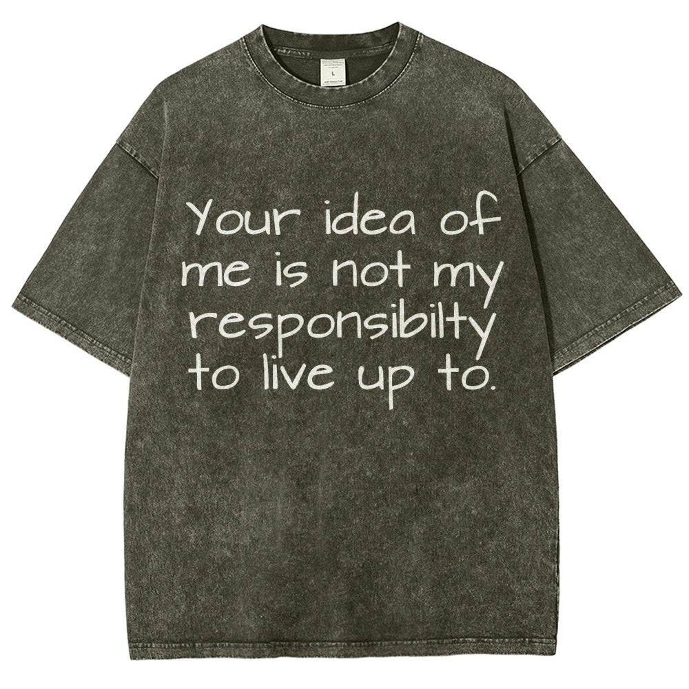 Your Idea Of Me Is Not My Resposibility To Live Up To Vintage Distressed T-shirt