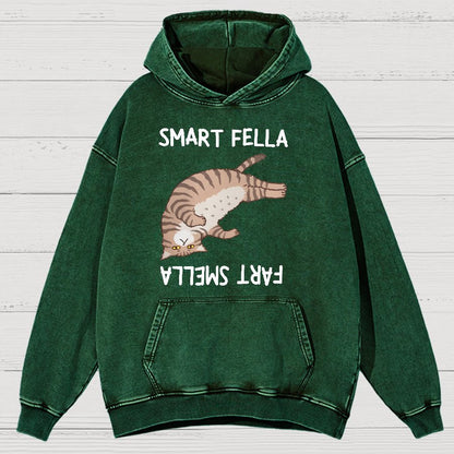 Smart Fella Fart Smella  Funny Cat Pun Vintage Distressed Hoodie