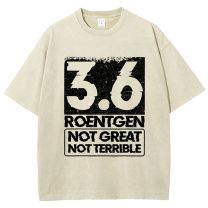 3.6 Roentgen Not Great Not Terrible Vintage Distressed T-shirt