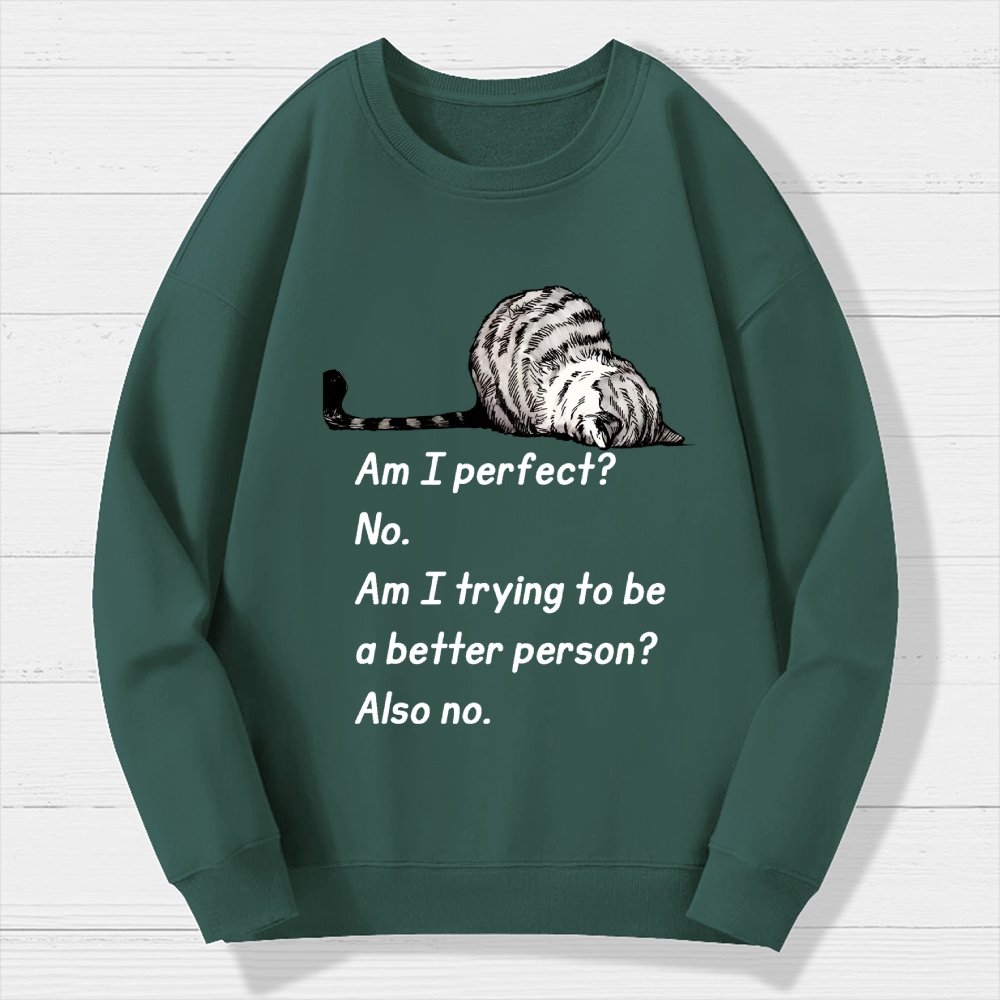 Am I Perfect No Geek Cotton Sweatshirt