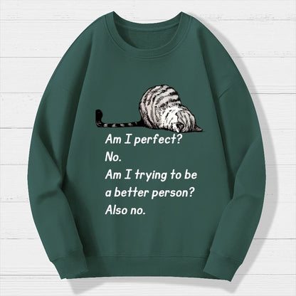 Am I Perfect No Geek Cotton Sweatshirt
