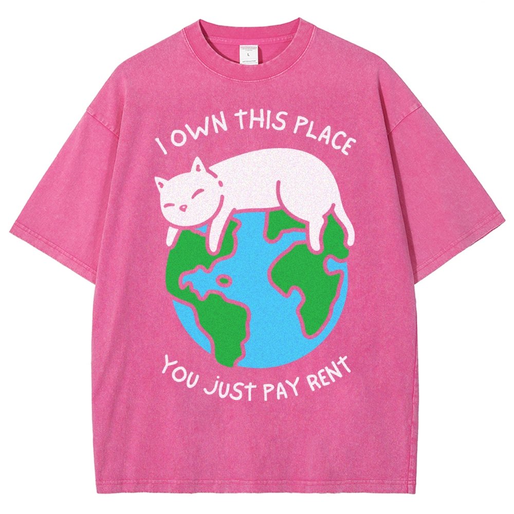 I Own This Place Vintage Distressed T-shirt
