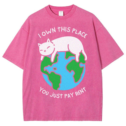I Own This Place Vintage Distressed T-shirt