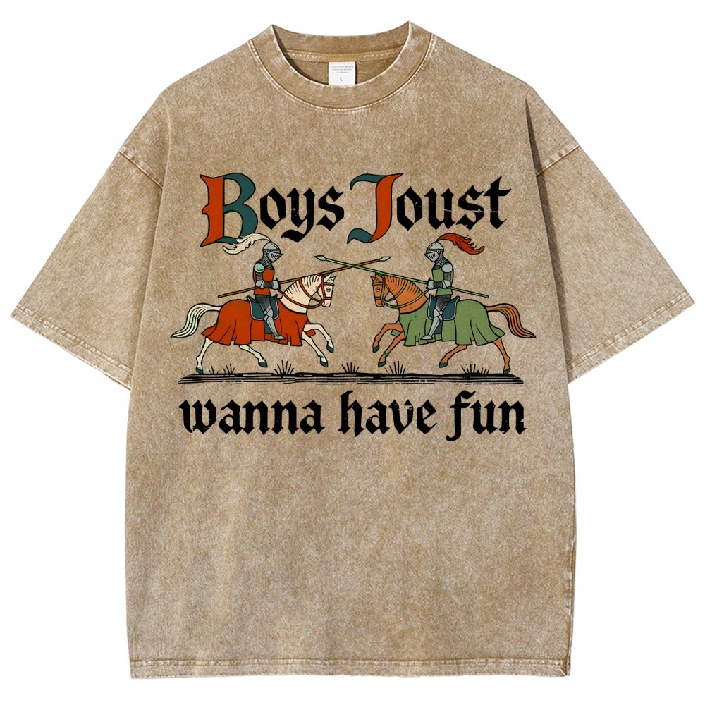 Boys Joust Wanna Have Fun Vintage Distressed T-shirt