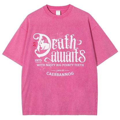 Death Awaits Vintage Distressed T-shirt