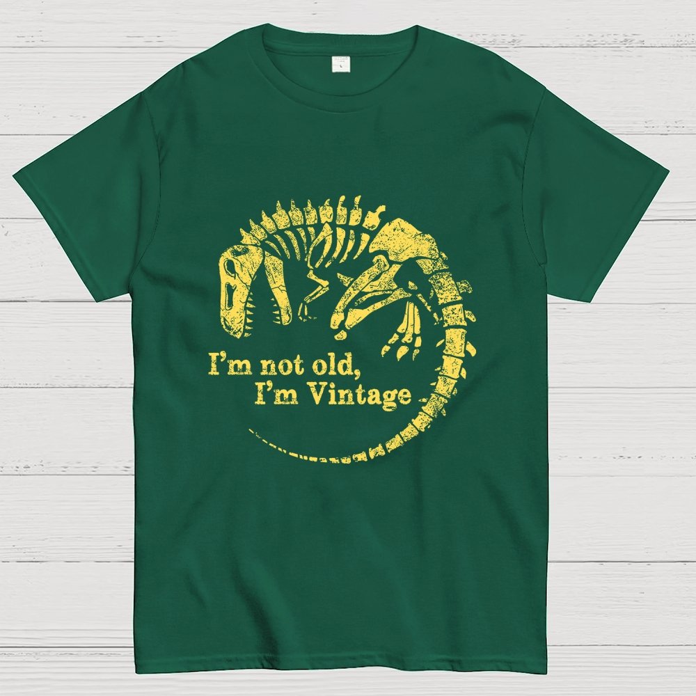 I'm Not Old I'm Vintage Geek T-Shirt