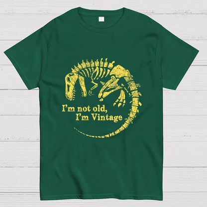 I'm Not Old I'm Vintage Geek T-Shirt
