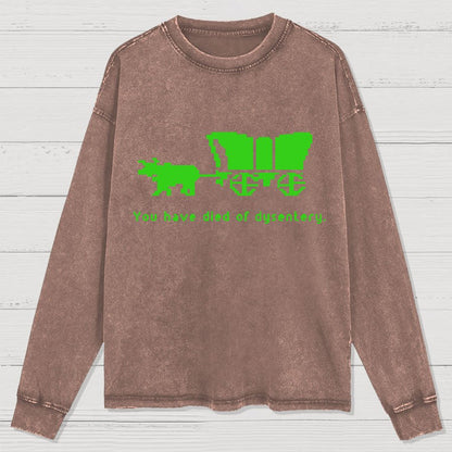 Oregon Trail T Shirt You Have Died of Dysentery Washed Long Sleeve Tee