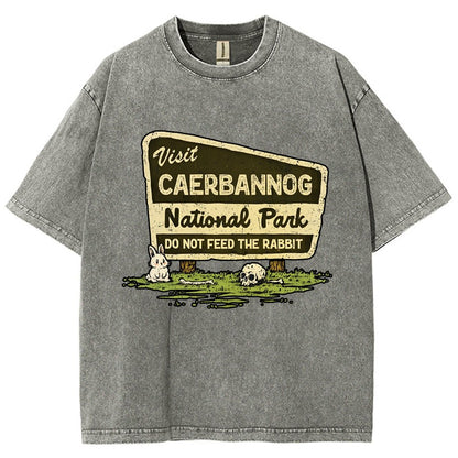 Mystic Valley National Park Vintage Distressed T-shirt