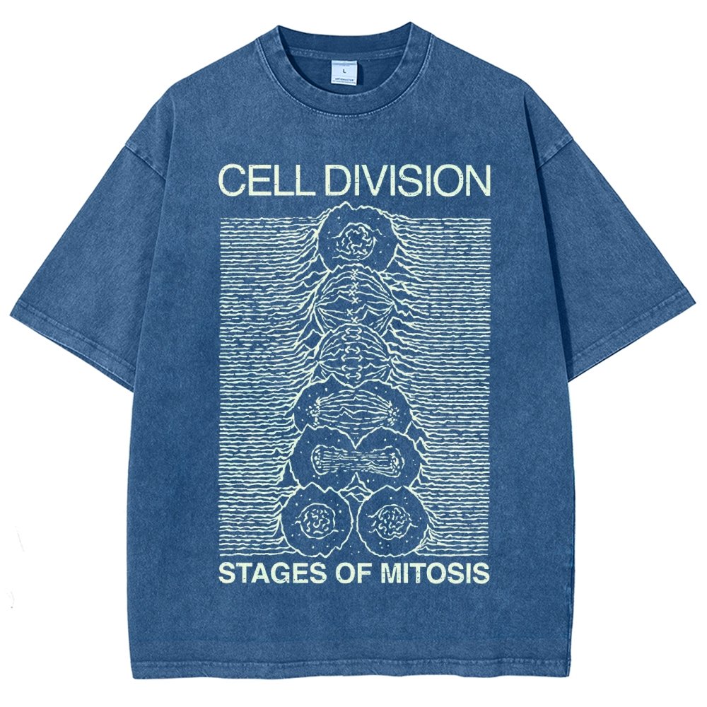Cell Division- Stages of Mitosis Vintage Distressed T-shirt