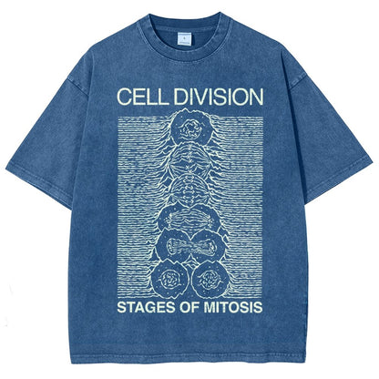 Cell Division- Stages of Mitosis Vintage Distressed T-shirt