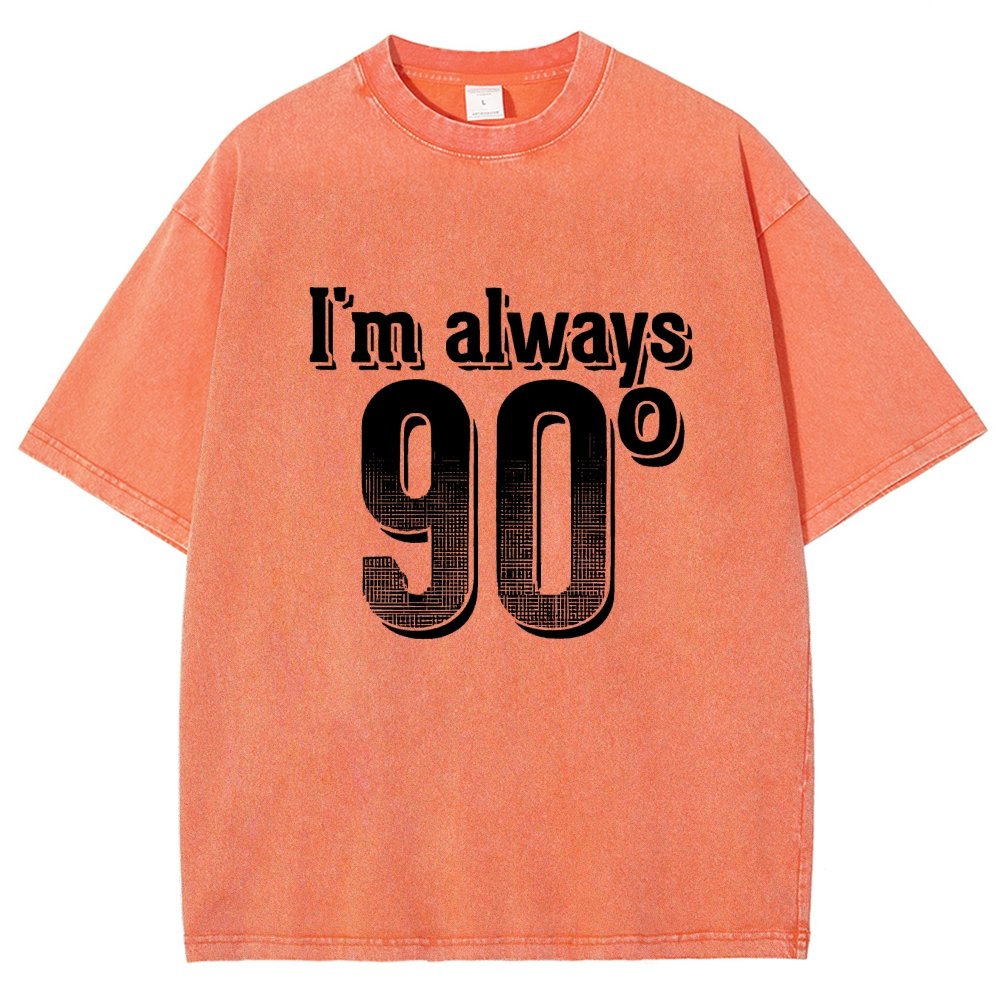 I'm Always Right Math Vintage Distressed T-shirt