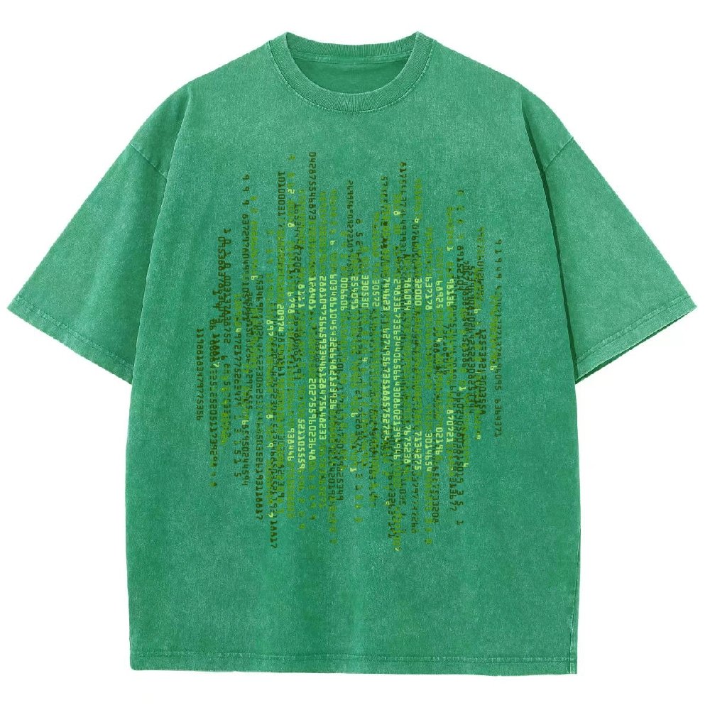 Enter The Pi Vintage Distressed T-shirt